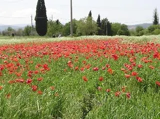 Agriturismo Colombaiolo Italy